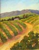 10 View of Hills and Avocado Orchards - Carpinteria