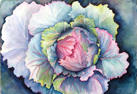 Colorful Cabbage