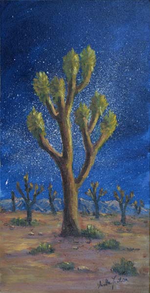 12 Starry Night at Joshua Tree National Park